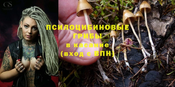 не бодяженный Беломорск