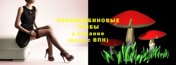 мяу мяу мука Белокуриха